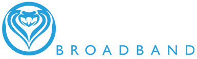 Viper Broadband